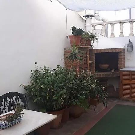 Room In Guest Room - Quiet Single Room In Valencia, With Large Terrace For Pets *