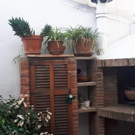 Room In Guest Room - Quiet Single Room In Valencia, With Large Terrace For Pets Valencie